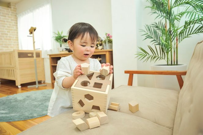 木製 パズル ドロップボックス【檜のおもちゃ ＩＫＯＮＩＨ】 ≪桧 おもちゃ ヒノキ ひのき 木育 知育≫