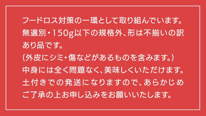 【 先行予約 2025年11月下旬以降発送 】【 訳あり 】 八千代町産 熟成小芋 紅はるか 生芋 土付き 10kg さつまいも サツマイモ 芋 イモ ふるさと納税 6000円 訳アリ [AX052ya]