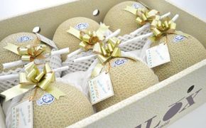 b100-031　静岡マスクメロン【6玉】（山等級）