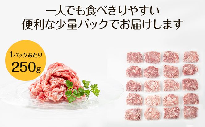 宮崎県産 豚肉 切り落とし 250g×20 合計5kg_M144-016