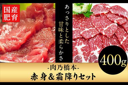 馬刺・赤身&霜降りセット 計400g [60日以内に出荷予定(土日祝除く)] 赤身馬刺し 霜降り馬刺し 肉乃橋本 冷凍 ブロック---so_fhasiasi_60d_23_29500_400g---