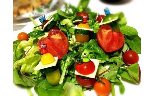 【先行受付】2026年11月から発送 まるでトマトの宝石箱！フルーツジュエリートマト約1.6㎏ 長田農園 産地直送 トマト とまと 野菜 やさい フルーツ サラダ 濃厚 甘い ご褒美 プレゼント 美容 健康 リピート多数 人気 高評価 先行受付 数量限定 碧南市 H004-203_Nov