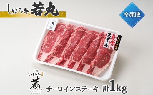 北海道 しほろ牛 サーロイン ステーキ 200g前後 2枚 ＆ しほろ牛 ハンバーグ150g 4個 セット 肉 牛 赤身肉 国産牛 肉 ビーフ 牛肉 冷凍 お取り寄せ 送料無料 十勝 士幌町【L12】