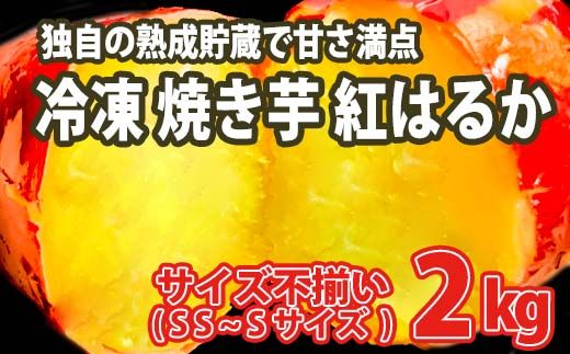 y錧SzK1948 yʌzTCYs Ȃ܂ n g͂邩 Ⓚ Ă 2kg yt[hX팸z
