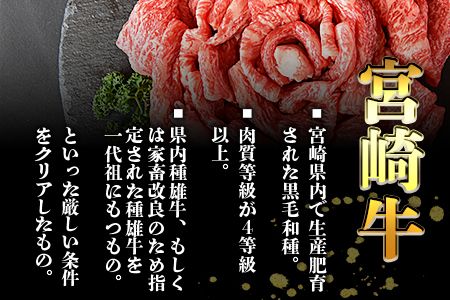 ＜宮崎牛赤身スライス500g+100g（合計600g）外もも＞翌月末迄に順次出荷【b0550_ty】
