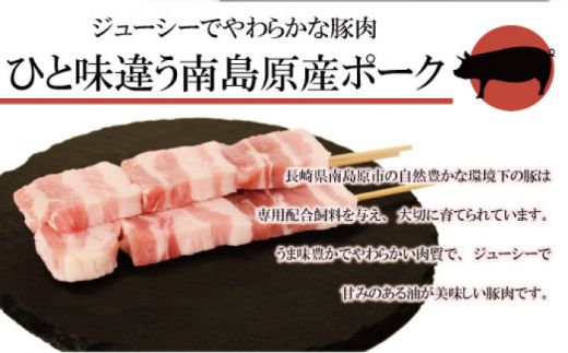 【12回定期便】【おうちで 焼き鳥 屋さん！】 串焼き 盛り合わせ 6種類 30本セット 南島原市 / ふるさと企画 [SBA026] 