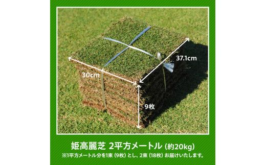 老舗日向芝産「姫高麗芝」2平方メートル 【 2㎡ 九州産 川南町産 宮崎県産 芝生 日本芝 ガーデニング 】 [F10302]