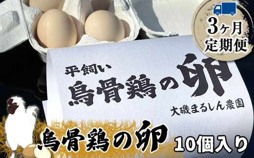 159-2041-02　【定期便：3ヶ月連続でお届け】（10個入り）湘南で育った平飼い、烏骨鶏の卵。大磯まるしん農園【 たまご 神奈川県 大磯町 】