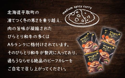 びらとり和牛カレー中辛200g×６箱 ふるさと納税 人気 おすすめ ランキング びらとり和牛 平取和牛 和牛 カレー 中辛 北海道 平取町 送料無料 BRTH019