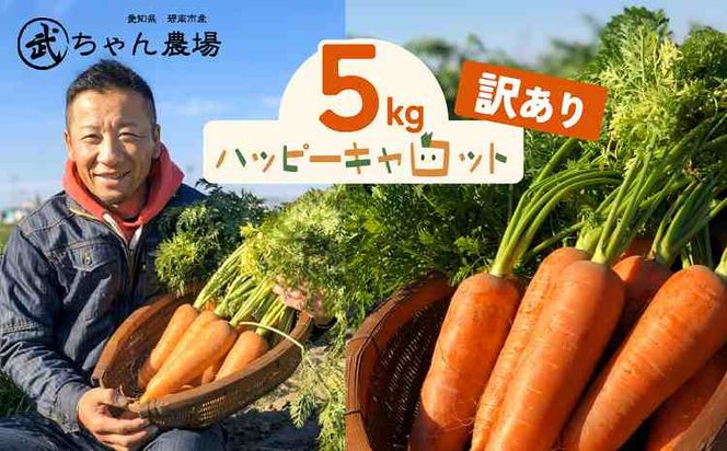 【食品ロス削減】（ 訳あり ）甘さと栄養で体も笑う武ちゃん農場の“ハッピーキャロット” 5㎏　H095-022