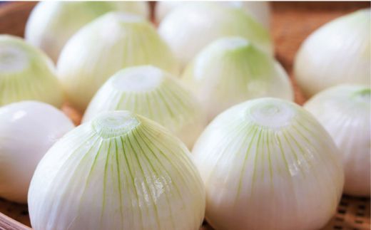 【2026年3月〜発送】【甘くてジューシー 】新たまねぎ 先行予約 サラダ たまねぎ 10kg 玉ねぎ / 南島原市 / 長崎県農産品流通合同会社 [SCB026]