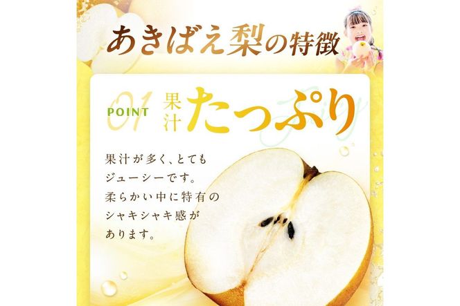 【先行予約／数量限定200】京丹後産 あきばえ梨 5kg（14～18玉）（2026年8月中旬～発送）　DE00162