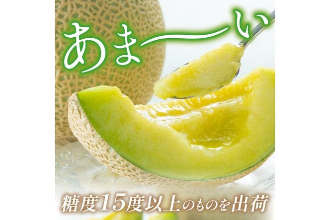 メロン様 楽天市場】庄内砂丘メロン【青玉&赤玉/秀品3L各2玉】山形 御中元