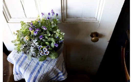 ◇お任せ◇　季節の寄せ植え