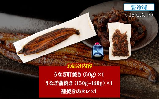 千歳鰻の蒲焼１尾・蒲焼のタレ・焼肝セット【CH179】