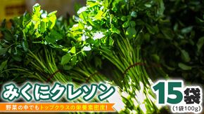 【 先行予約 】 みくにクレソン100g×15袋 美容 健康 野菜 スーパーフード クレソン [CY004ci]