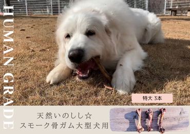 FB142_大型犬向け☆天然いのししのスモーク骨ガム3本／みやき町