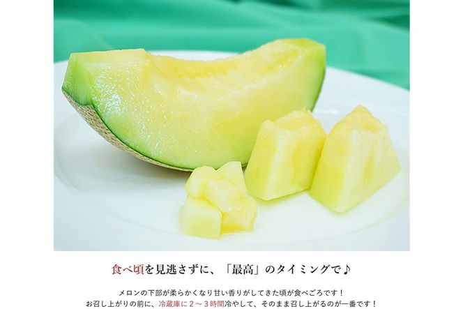糖度15度以上！京丹後砂丘メロン2玉入り　（2Ｌサイズ以上）／北畿水産(2026年6月下旬～発送) 国産 2玉 フルーツ 果物 メロン 砂丘メロン 甘い 糖度 京都 ふるさと納税 フルーツ ふるーつ くだもの ご当地メロン めろん 生産者応援 農家応援　HK00275