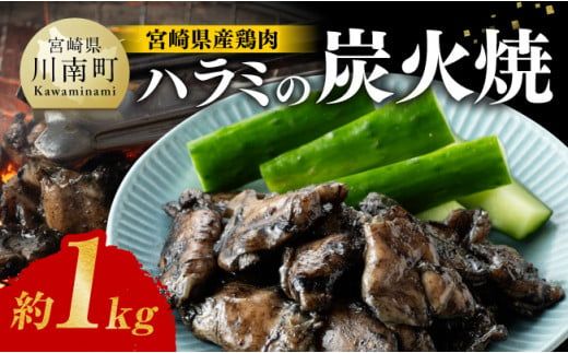 宮崎県産 鶏肉 ハラミ の 炭火焼 1kg [ 肉 鶏 鶏肉 はらみ 炭火焼 ジューシー 宮崎名物 ][E7211]