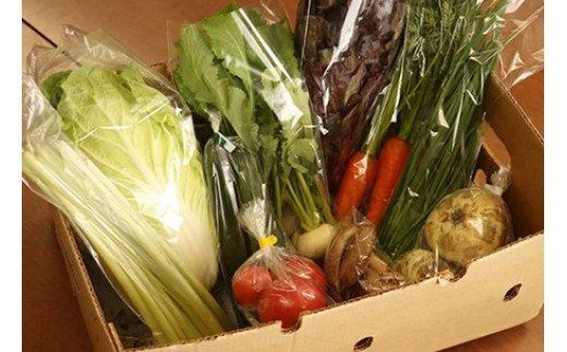 【産地直送】採りたて野菜と昔ながらの手づくり加工品セット≪旬の野菜 詰め合わせ 野菜セット 栃木県産 国産≫◇