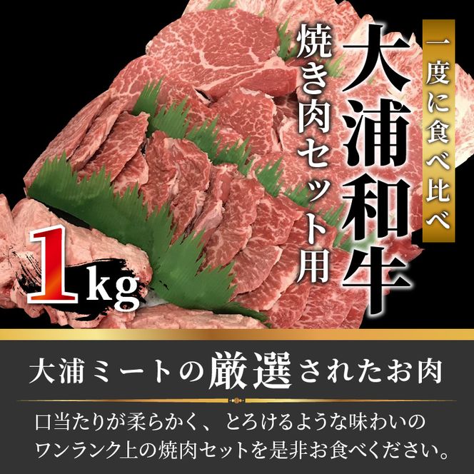 大浦和牛焼肉セット(1kg)《 牛肉 牛 国産 焼肉 セット おすすめ ロース 美味しい 牛タン ハラミ ヘレ フィレ ヒレ ヒレ肉 食べ比べ バーベキュー 》【2405A00206】