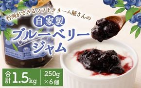 ＜ソフトクリーム屋さんの自家製ブルーベリージャム250g×6＞2か月以内に順次出荷【c023_sn_x2】 ジャム ブルーベリー 6個