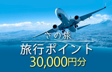 099V022 さの旅 旅行ポイント30,000円分