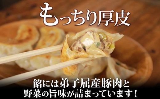 1814. 無地熨斗 よだれ餃子 10個入 2パック 計20個 餃子 ぎょうざ ギョウザ ギョーザ 生餃子 冷凍 中華 豚 肉 昇龍軒 熨斗 のし 名入れ不可 送料無料 北海道 弟子屈町 8000円