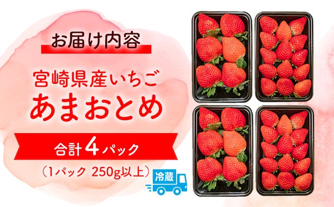 《2025年発送先行予約》【期間・数量限定】いちご「あまおとめ」 (250g×4トレイ・パック)_M267-001