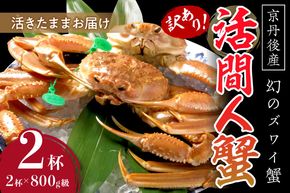 【訳あり！！幻のズワイ蟹】　京丹後産　活間人蟹　鮮度抜群、活きたままお届け！！ 800g級（足1本落ち）×2杯　YK00069 
