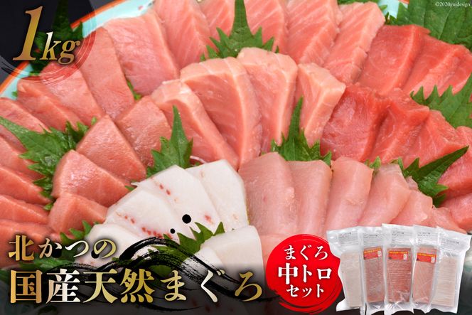 y{錧Cszk̃}O gZbg [k {錧 Cs 20563599]  hg   ܂ }O {}O }O g JWL o` ߂΂ r`E Ⓚ   VN 