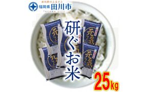 福岡県産元気つくし 25kg(5kg×5)