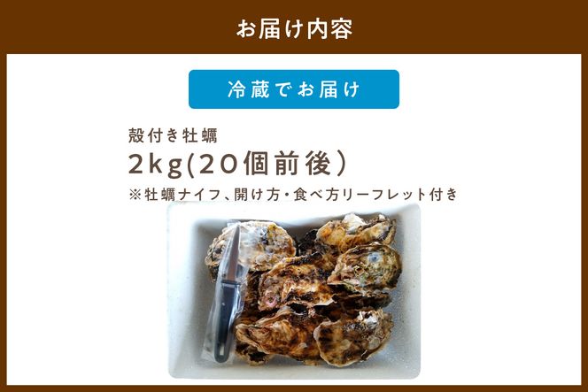 農家漁師から産地直送★京都・久美浜産　殻付き牡蠣2kg（20個前後）【加熱用】牡蠣ナイフ付　人気 国産 正規品 大粒 肉厚 養殖牡蠣 贈り物 牡蠣 牡蛎 かき カキ 海鮮 貝 海のミルク 殻付き 2キロ 	MN00017