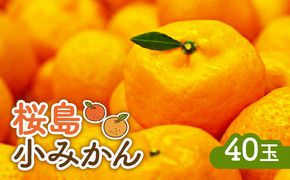 【2024年12月2日までの申込限定】桜島小みかん　K247-001