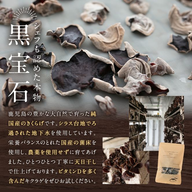 a745 国産乾燥きくらげ計60g(20g×3袋)【姶良のアグリM～】