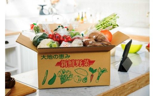 毎月お届け!おおいたの旬野菜4月から半年間定期便/計6回発送_1775R