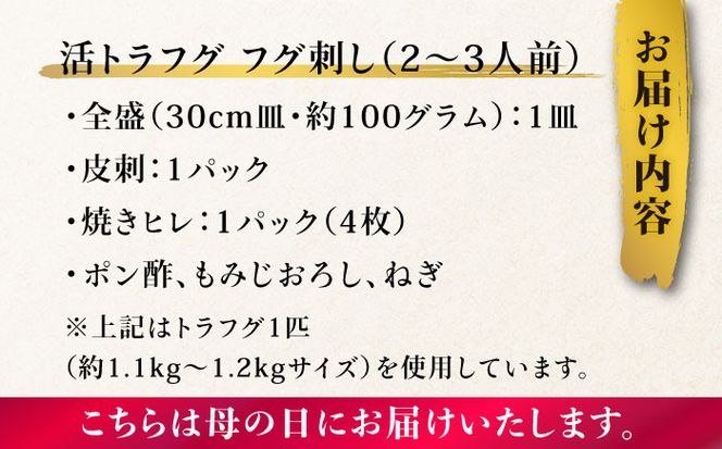 【母の日にお届け！】【長崎県産】トラフグフグ刺し・フグ鍋セット（2～3人前） / ふぐ 刺身 鍋 南島原市 / ながいけ[SCH071]