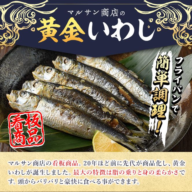 訳あり＞黄金いわし (60尾以上) 黄金 いわし イワシ 丸干し 魚 海鮮