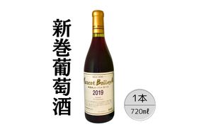 ゴールドワイン　マスカットベーリーA 167-028