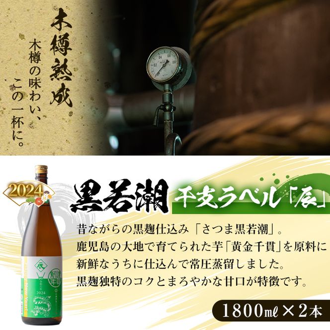 2024年】年末年始限定! 「辰年」干支ラベル本格芋焼酎 黒若潮(1.8L×2本