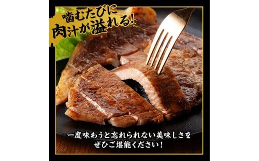 宮崎牛 サーロインステーキ 600g 【 肉 牛肉 国産 宮崎県産 黒毛和牛 サーロインステーキ 】[D11426]