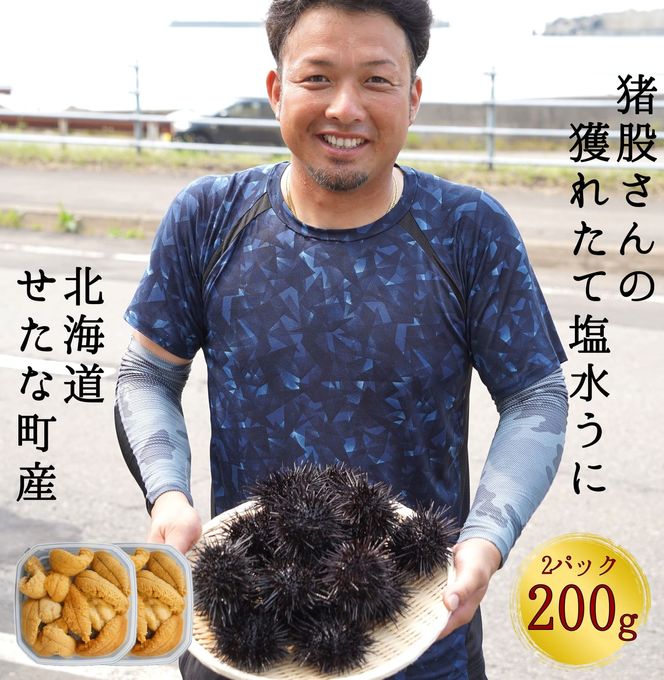 【2026年7月1日以降から順次発送】【産地直送】北海道産 塩水うに 200g キタムラサキウニ ミョウバン不使用 直送 旬 パスタ 寿司 焼き うに丼 海鮮 せたな町 ふるさと納税