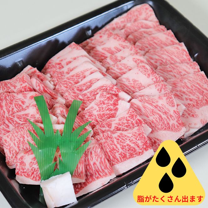 AB-46 A5飛騨牛焼き肉セット（合計2.9kg）