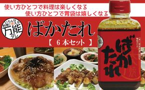 R5-689．完全手作り！いろんな料理に使える万能な秘伝のたれ「ばかたれ」6本セット