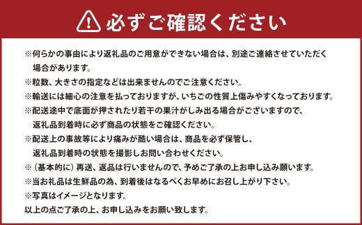 あまおう DX 約280g×2パック 560g いちご 苺 イチゴ【2025年2月上旬～4月上旬発送予定】