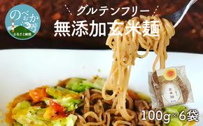 【グルテンフリー】無添加玄米麺計100g×6袋 N0107-YA058