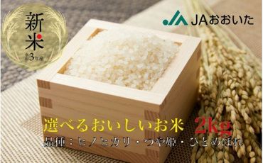 大分県産米　ひのひかり・つや姫・ひとめぼれ【選べるお試し用2kg】_1892R