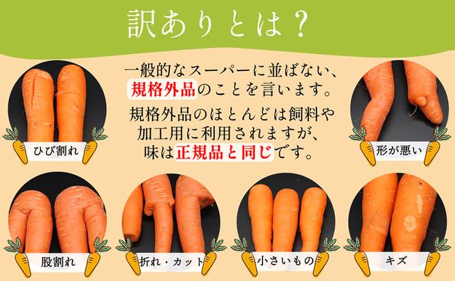 BH052 人参 訳あり 堀農園のこだわり人参 約10kg [ 野菜 訳アリ にんじん ニンジン キャロット 10キロ 先行予約 常備野菜 国産 贅沢宝庫 長崎県 島原市 ]