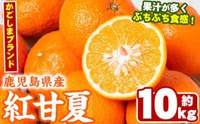 ＜先行予約受付中！2026年2月以降順次発送予定＞数量限定！鹿児島県産紅甘夏みかん(約10kg・28玉～32玉)国産 果物 フルーツ【鹿児島いずみ農業協同組合】akn018-05