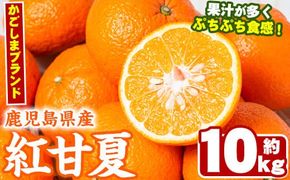 ＜先行予約受付中！2025年2月より順次発送予定＞数量限定！鹿児島県産紅甘夏みかん(約10kg・28玉～32玉)国産 果物 フルーツ【鹿児島いずみ農業協同組合】a-13-43-z